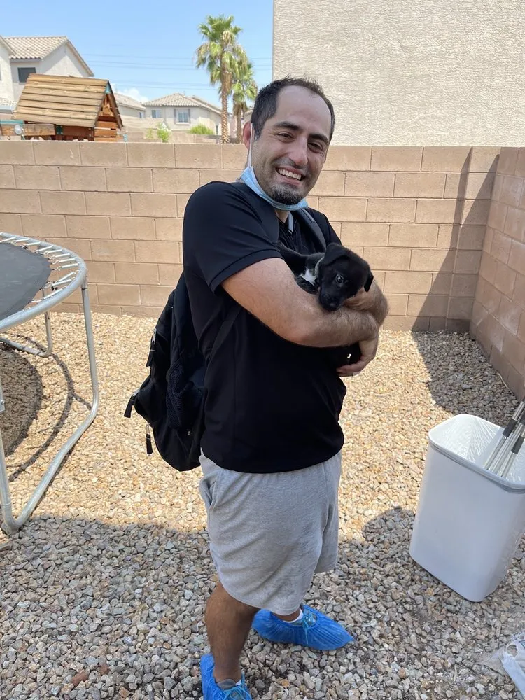 Expert landscaping services experts serving Las Vegas, NV - Rebel DK