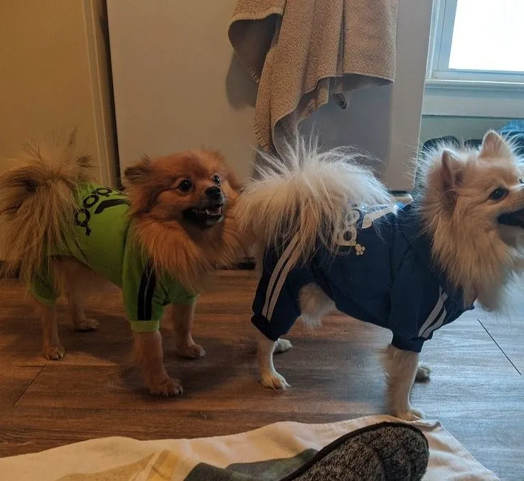 Custom garden landscaping with custom design across Las Vegas, NV - Rebel DK