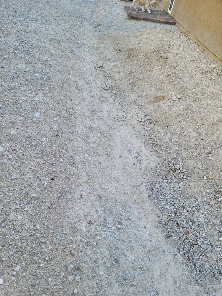 Trusted yard maintenance in Las Vegas, NV - Rebel DK