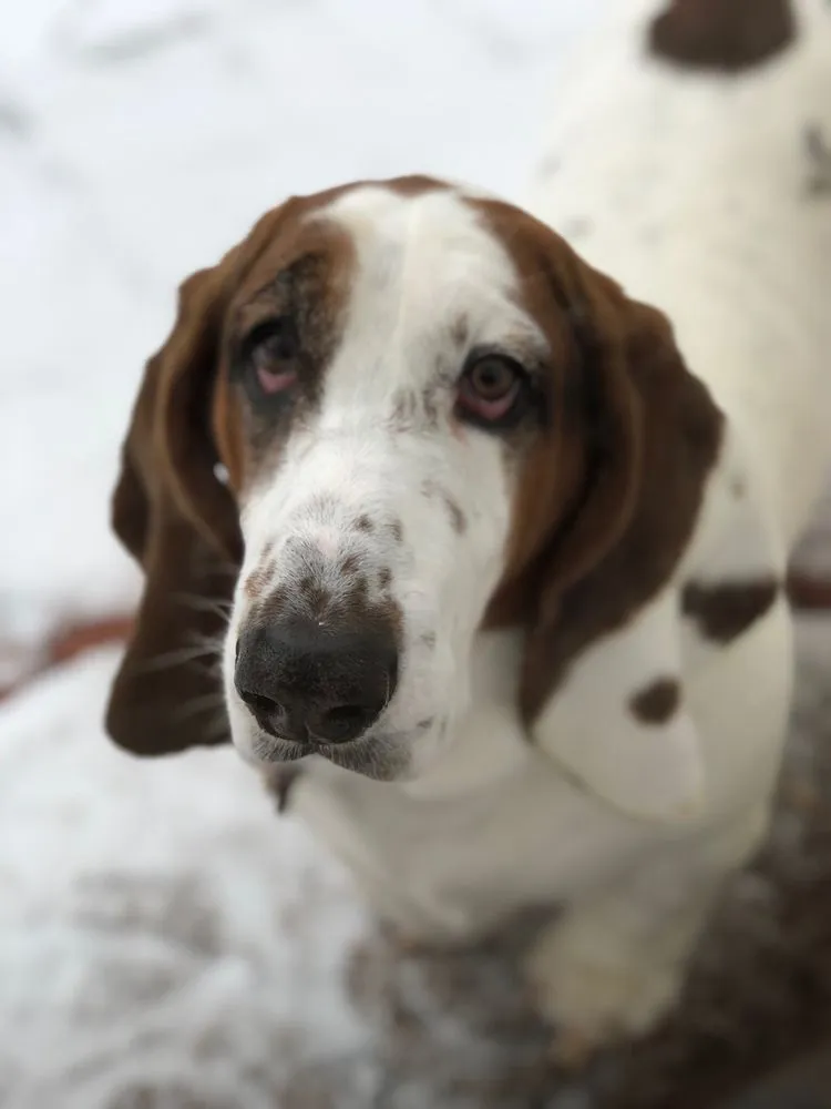 Expert landscaping services with custom design across Las Vegas, NV - Rebel DK