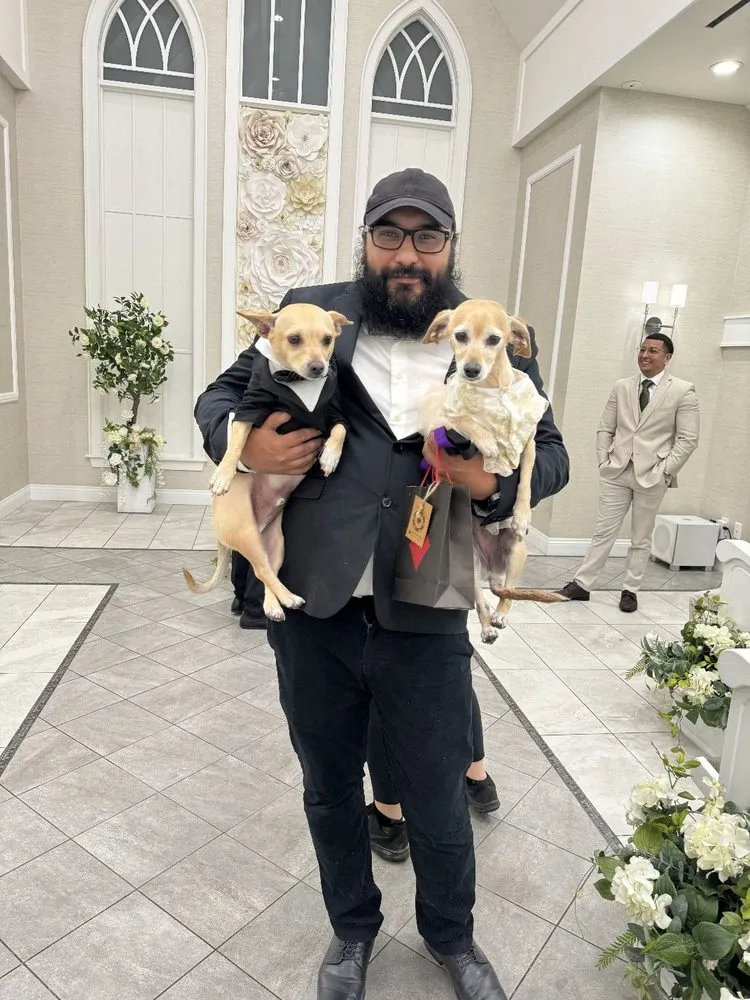 Trusted lawn care service in Las Vegas, NV by Rebel DK