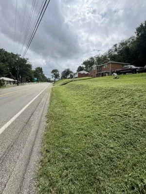 Rebel Roots Landscaping