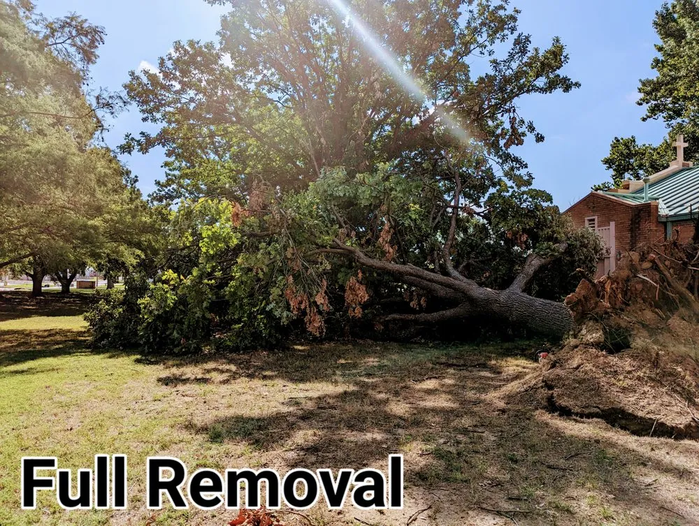 Professional lawn care service in Broken Arrow, OK by Rebel Tree & Outdoor Service