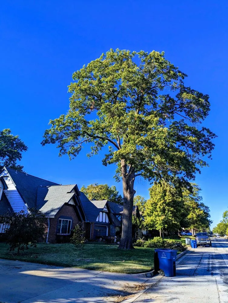 Custom landscaping services in Broken Arrow, OK - Rebel Tree & Outdoor Service