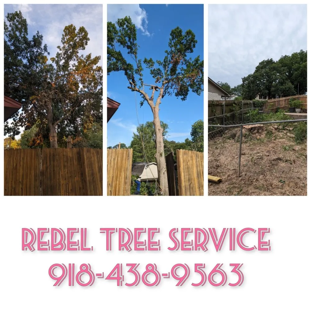 Reliable landscape design for outdoor upgrades across Broken Arrow, OK - Rebel Tree & Outdoor Service