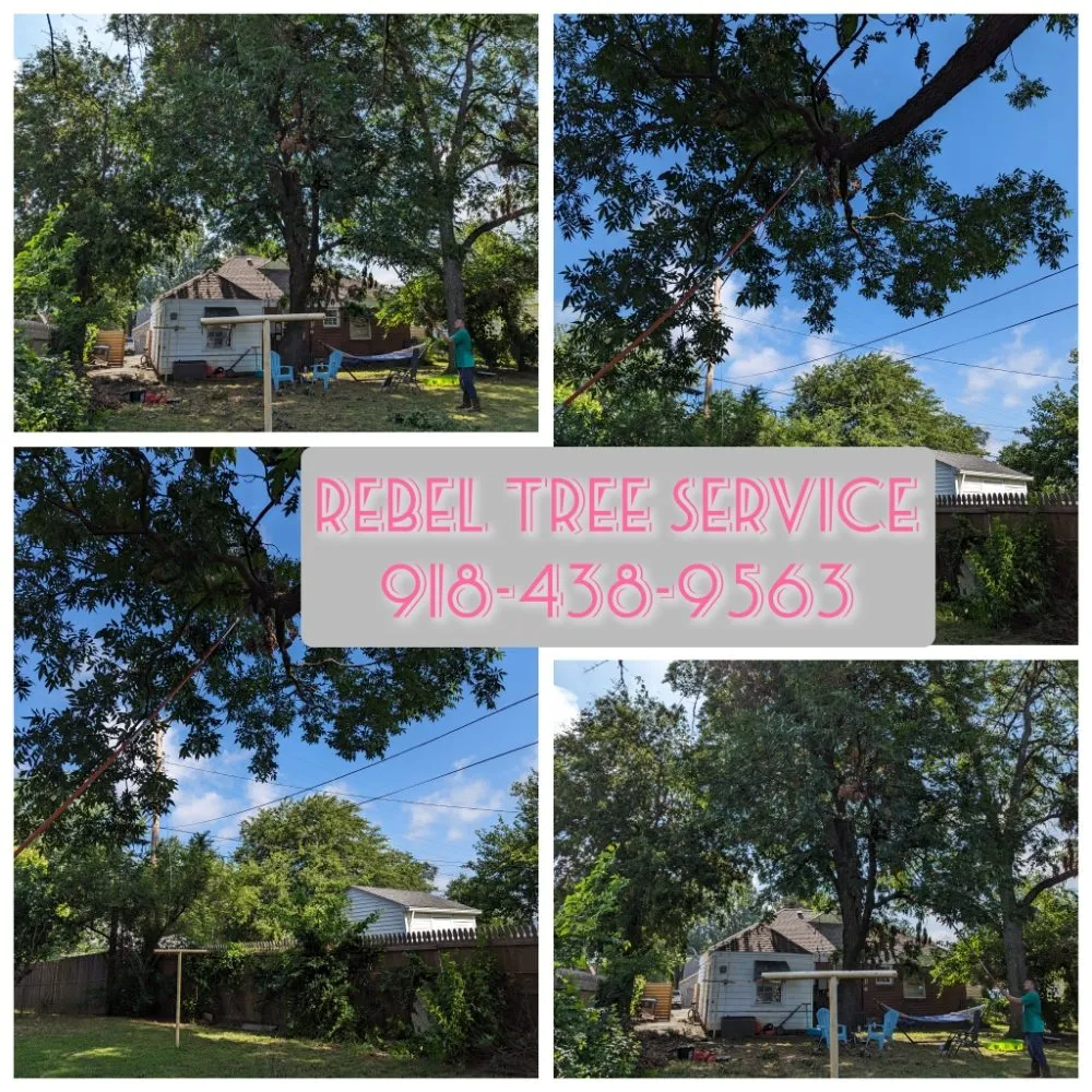 Local garden landscaping in Broken Arrow, OK by Rebel Tree & Outdoor Service