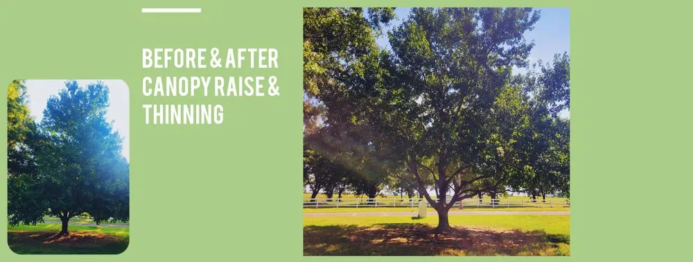 Professional landscape design in Broken Arrow, OK by Rebel Tree & Outdoor Service