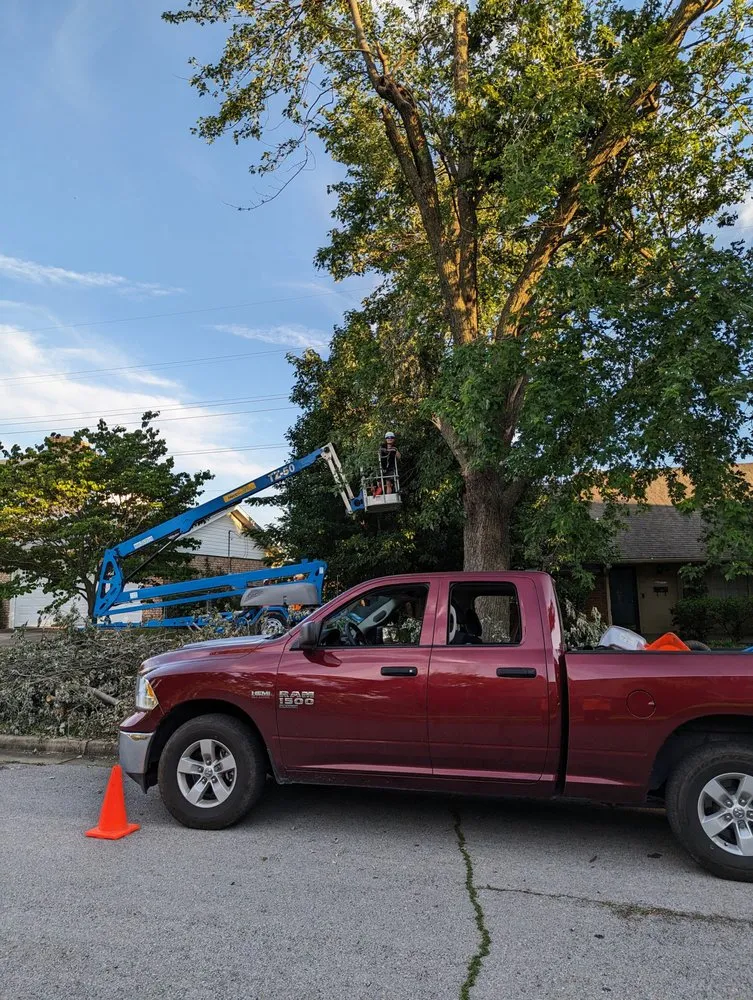 Custom yard cleanup service in Broken Arrow, OK by Rebel Tree & Outdoor Service