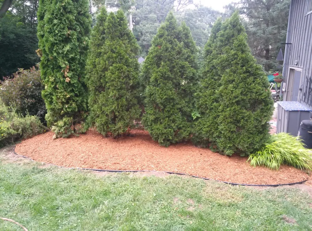 Custom yard cleanup service in East Moline, IL - Rebenar Services
