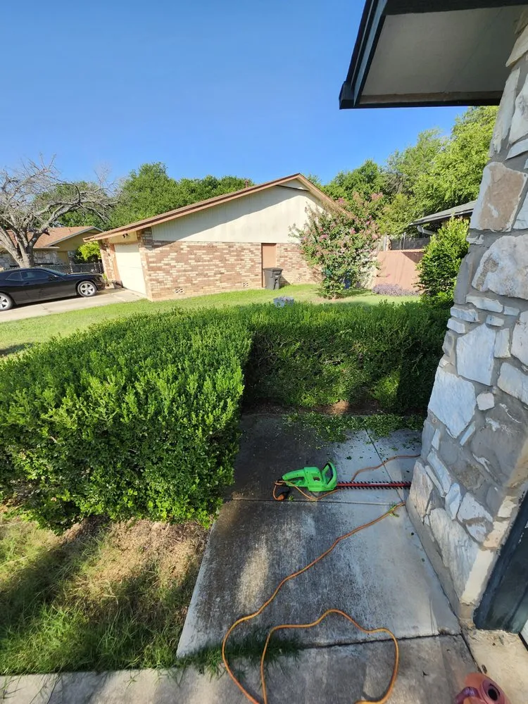 Top-rated yard maintenance in San Antonio, TX by Rebirth Landscaping