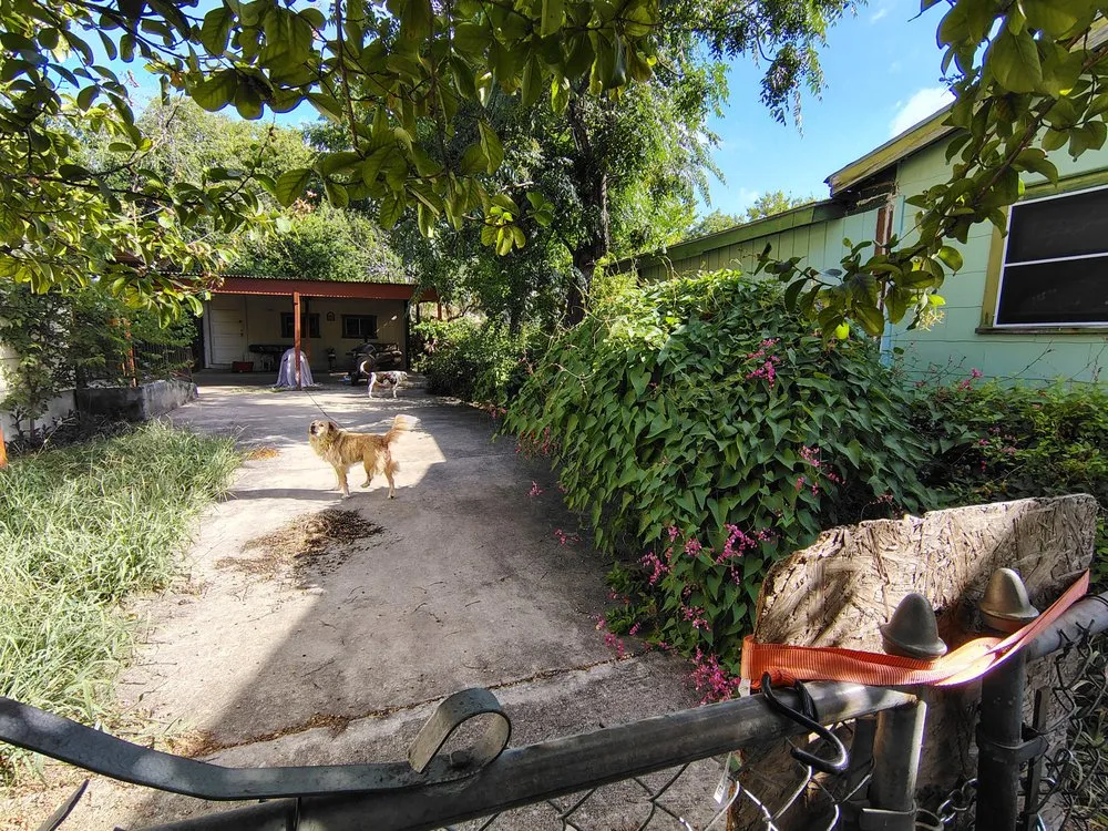 Professional garden landscaping in San Antonio, TX - Rebirth Landscaping