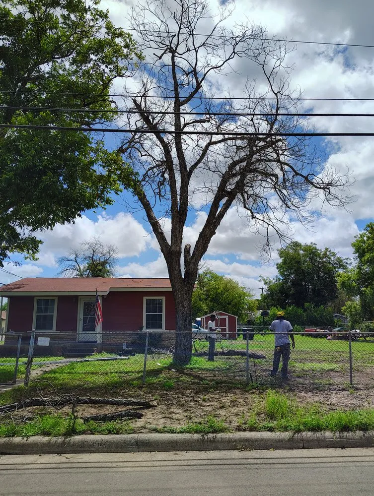 Expert residential landscaping for homes in San Antonio, TX by Rebirth Landscaping