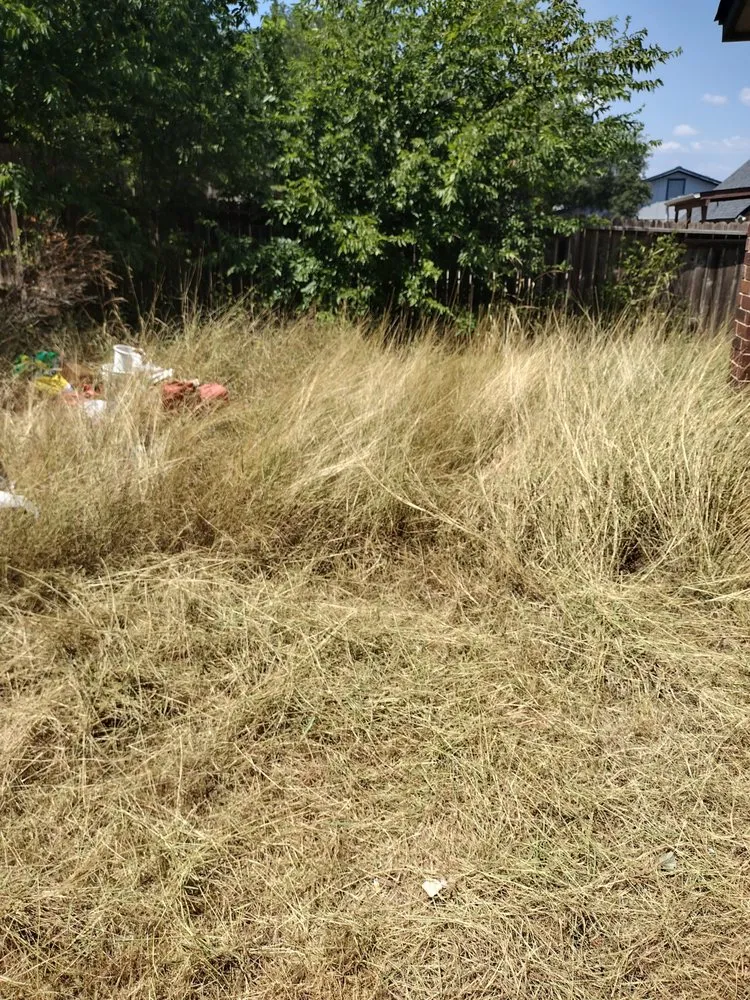 Professional yard cleanup service for residential properties across San Antonio, TX - Rebirth Landscaping