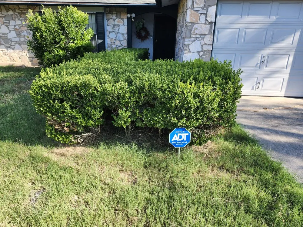 Trusted yard cleanup service for residential properties in San Antonio, TX by Rebirth Landscaping