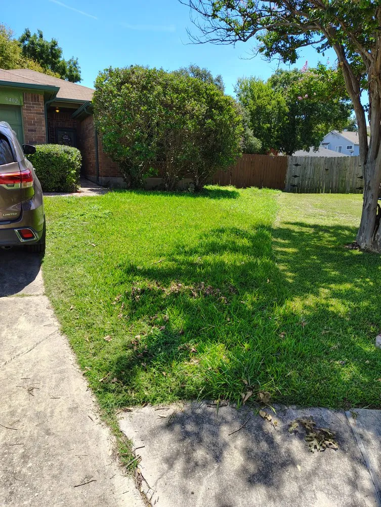 Professional lawn care service for beautiful yards across San Antonio, TX - Rebirth Landscaping