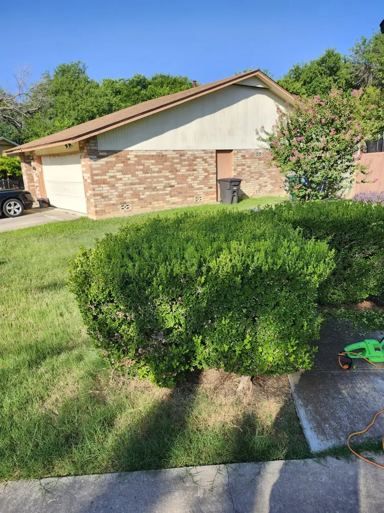 Affordable landscape design for residential properties in San Antonio, TX by Rebirth Landscaping