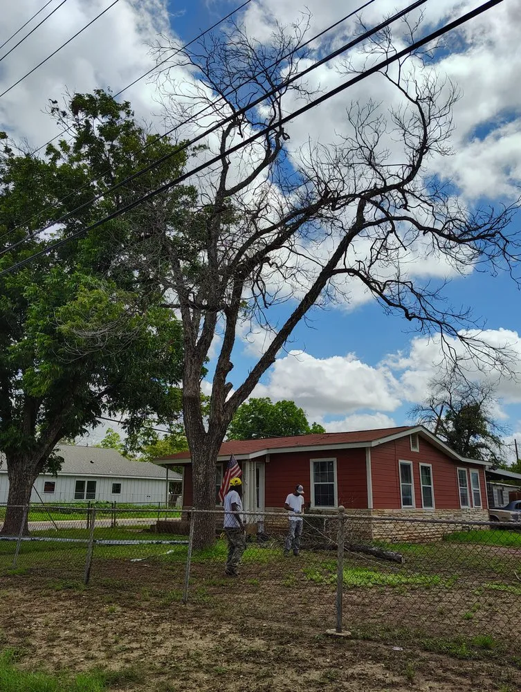 Top-rated landscape design in San Antonio, TX by Rebirth Landscaping