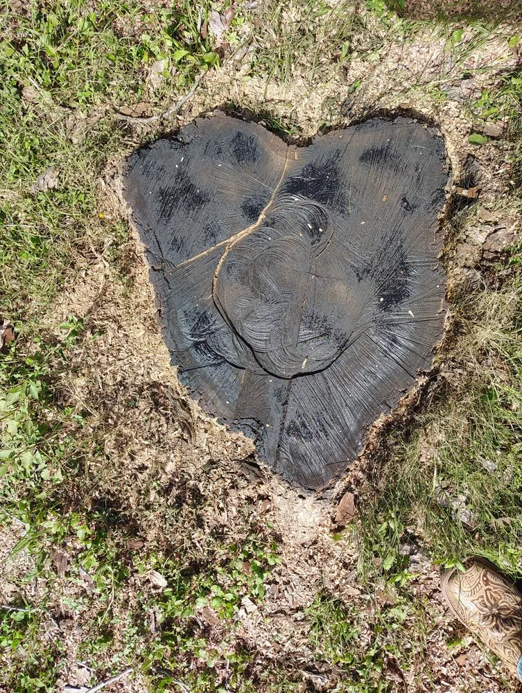 Professional yard maintenance in San Antonio, TX - Rebirth Landscaping