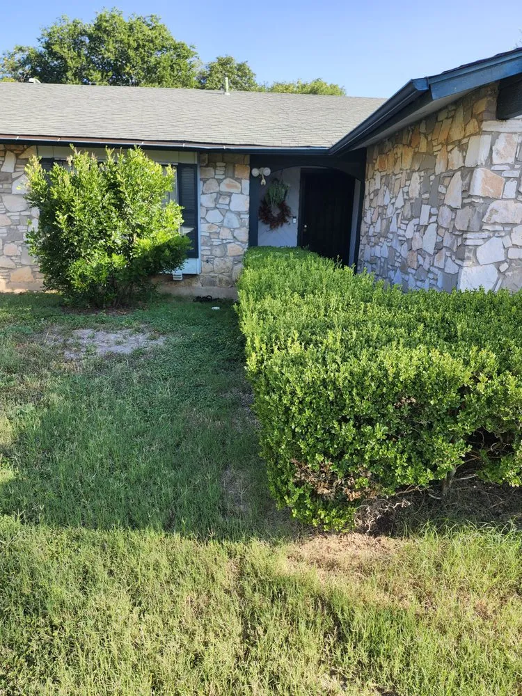 Custom yard cleanup service near you across San Antonio, TX - Rebirth Landscaping