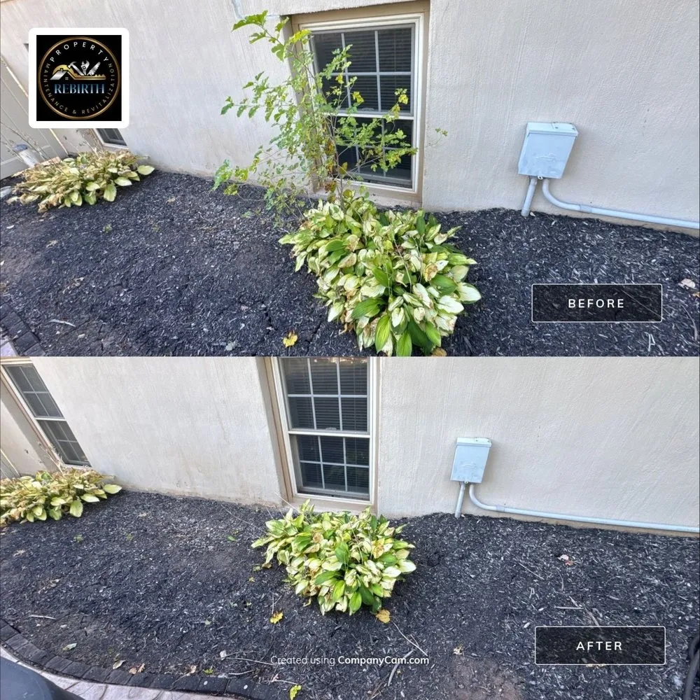 Affordable landscape installation in Spring Grove, PA by ReBirth