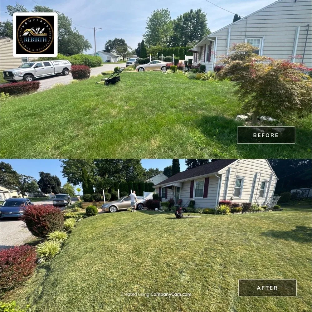 Custom outdoor landscaping experts serving Spring Grove, PA - ReBirth