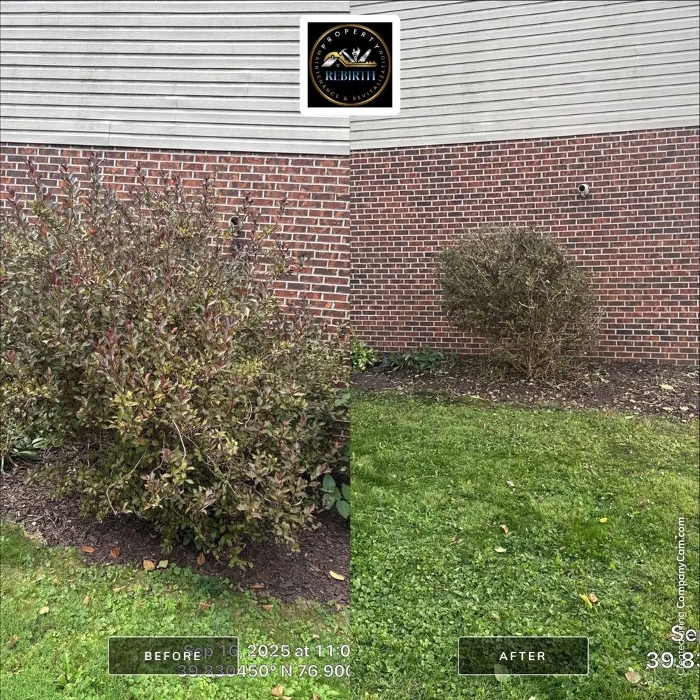 Reliable landscape design in Spring Grove, PA - ReBirth