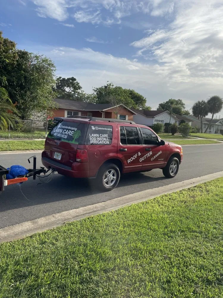 Affordable yard cleanup service experts serving Orlando, FL - Rebolandscaping