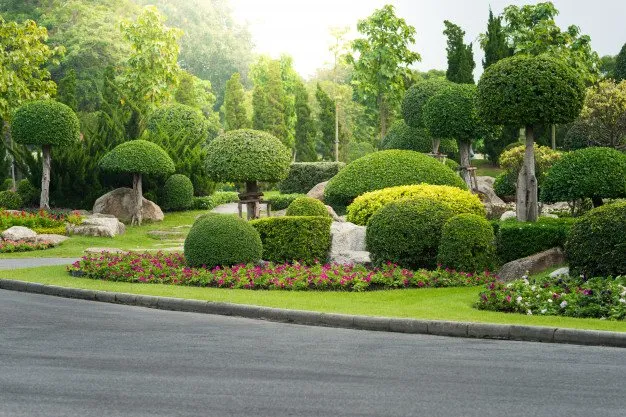 Top-rated lawn care service for residential properties in Orlando, FL by Rebolandscaping