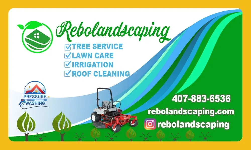 Reliable yard cleanup service in Orlando, FL - Rebolandscaping