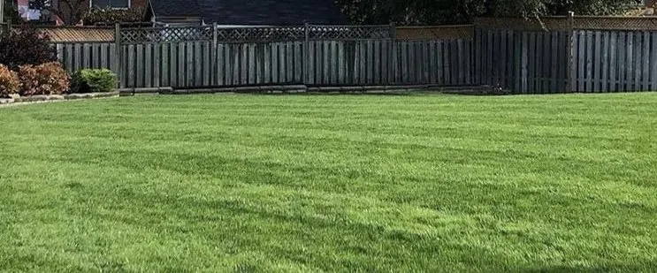 Local landscaping services with custom design in St Louis, MO by Rebollo Brothers