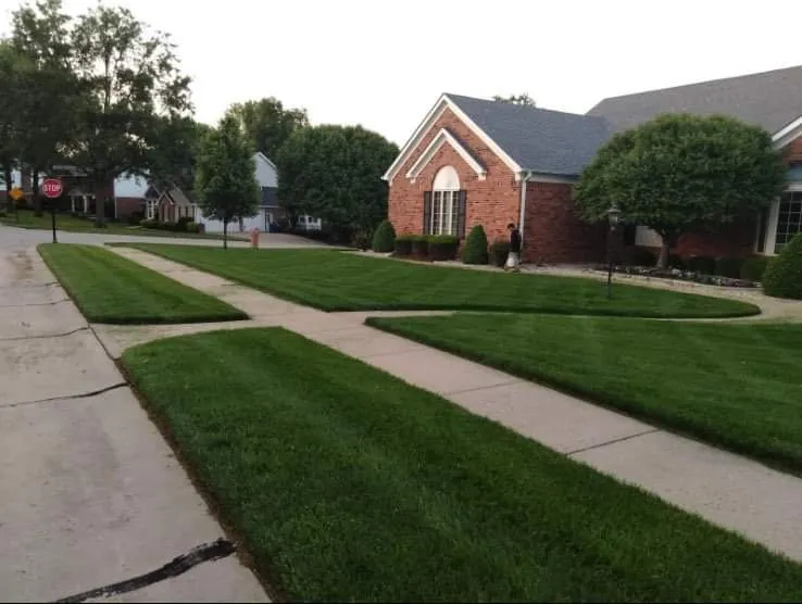 Custom outdoor landscaping in St Louis, MO by Rebollo Brothers