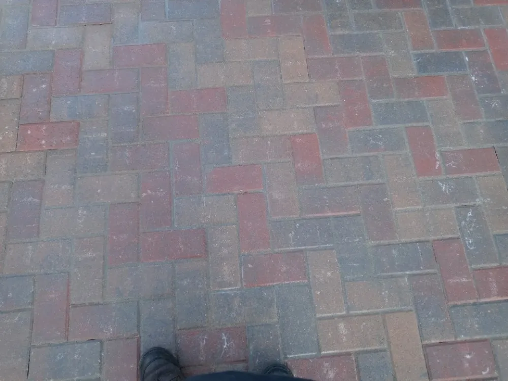 Top-rated yard maintenance experts serving Chicago, IL - Rebollo Landscaping