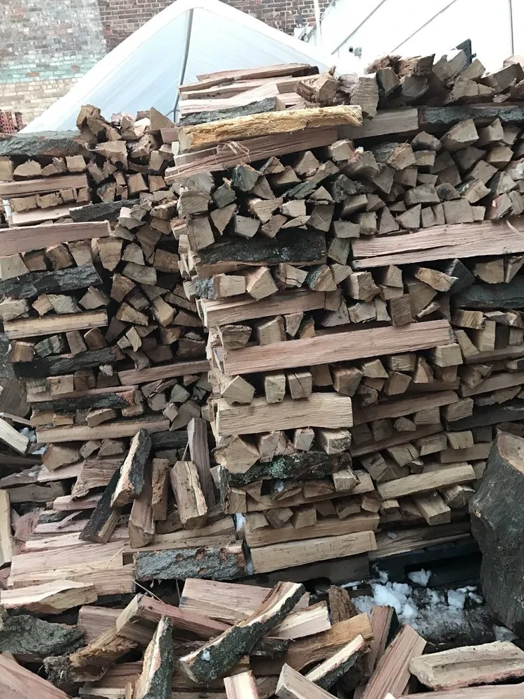 Trusted yard cleanup service in Mount Vernon, NY - Rebollo Landscaping