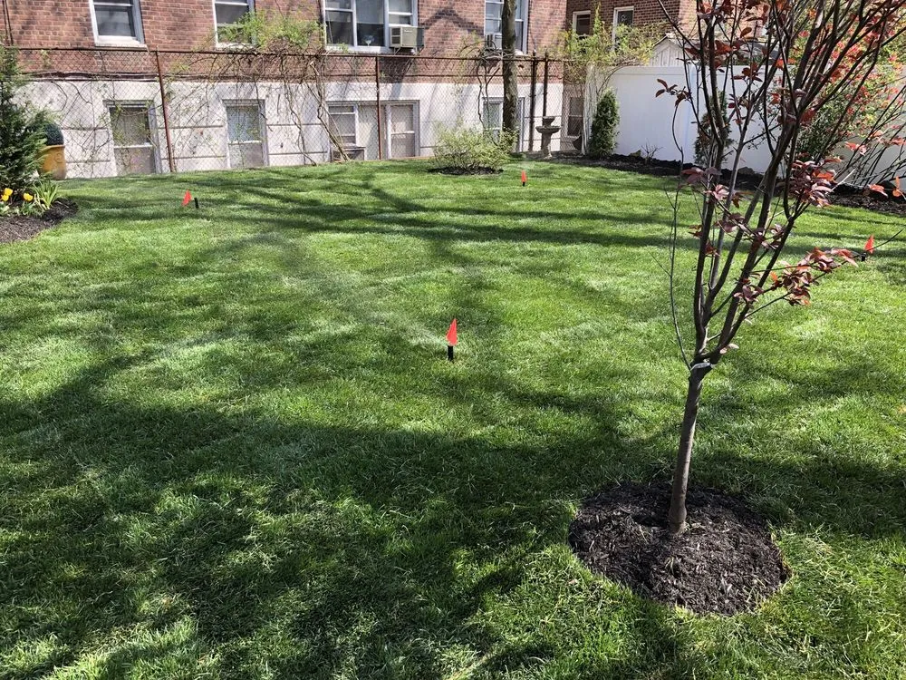 Professional yard cleanup service experts serving Mount Vernon, NY - Rebollo Landscaping