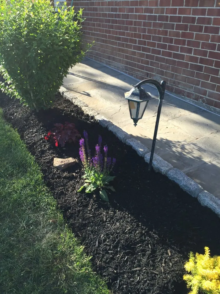 Expert yard cleanup service near you in Mount Vernon, NY by Rebollo Landscaping