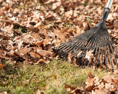 Reliable lawn care service in Nampa, ID by Reborn Landscapes