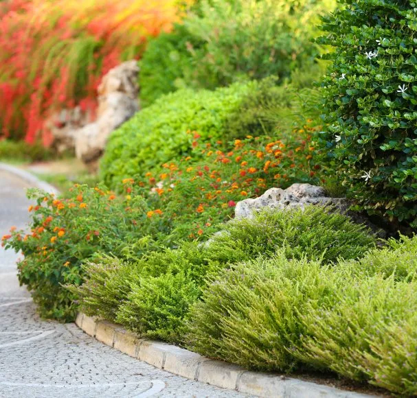 Reliable landscape design with custom design in Nampa, ID by Reborn Landscapes