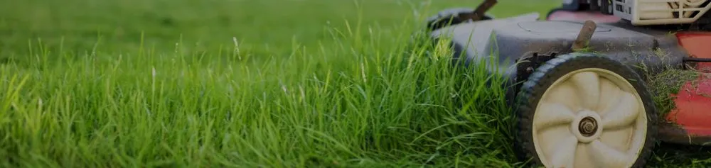 Custom outdoor landscaping in Nampa, ID - Reborn Landscapes