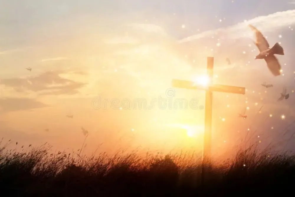 Top-rated landscape installation for residential properties across Nampa, ID - Reborn Landscapes