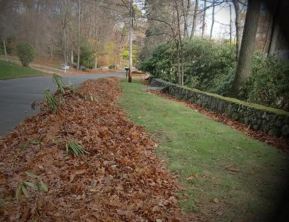 Trusted lawn care service for beautiful yards across Nampa, ID - Reborn Landscapes