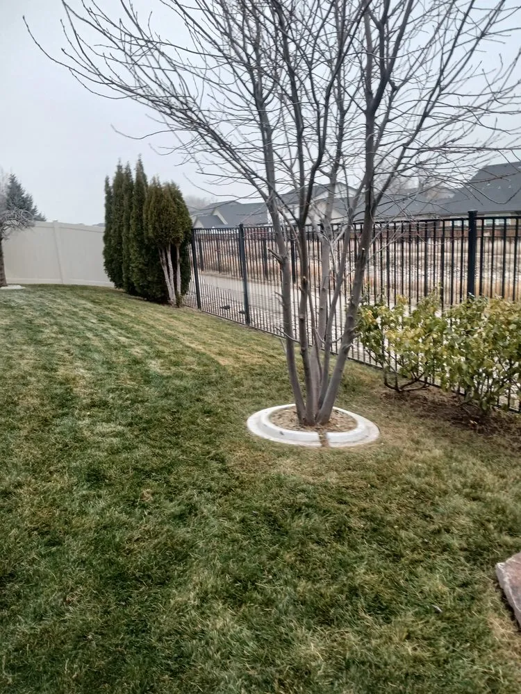 Trusted yard maintenance in Nampa, ID by Reborn Landscapes
