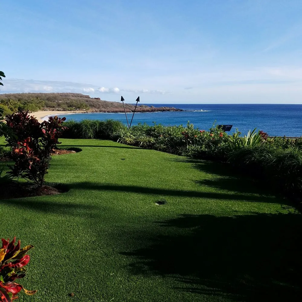 Custom yard cleanup service for homes across Honolulu, HI - Rec and Roll