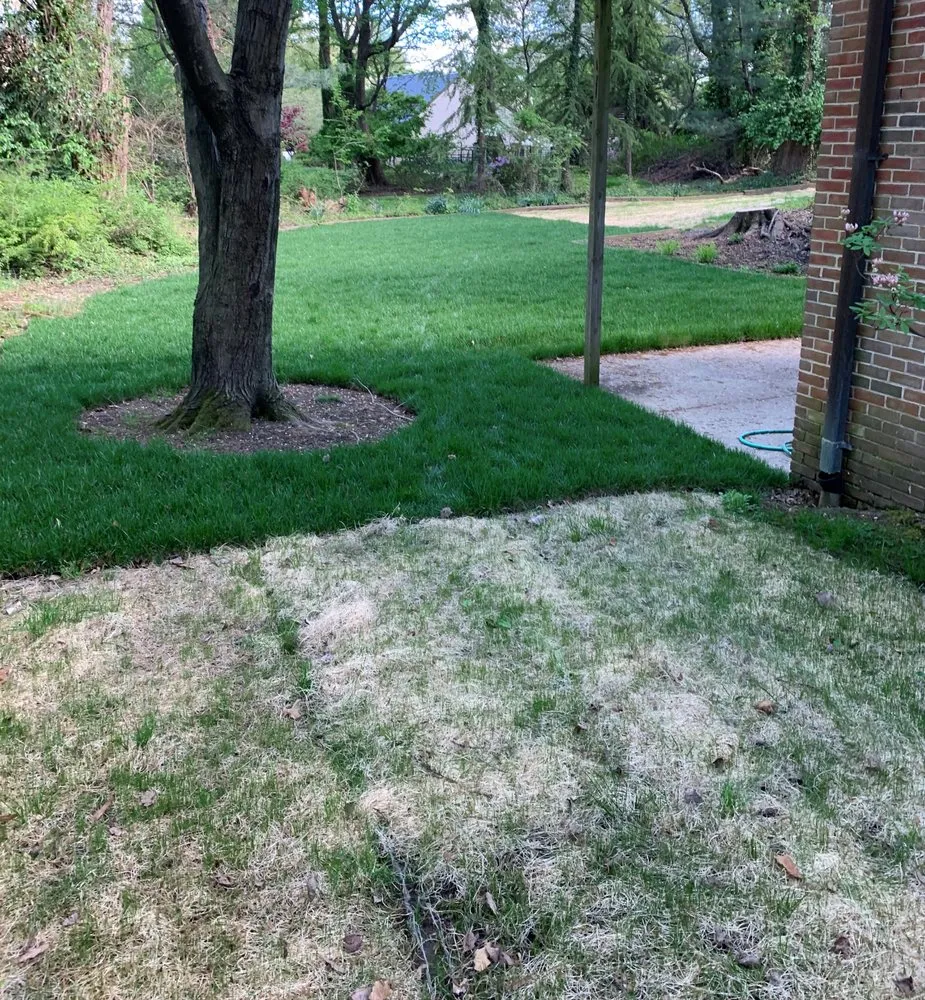 Affordable landscape design in Hyattsville, MD - REC Lawns