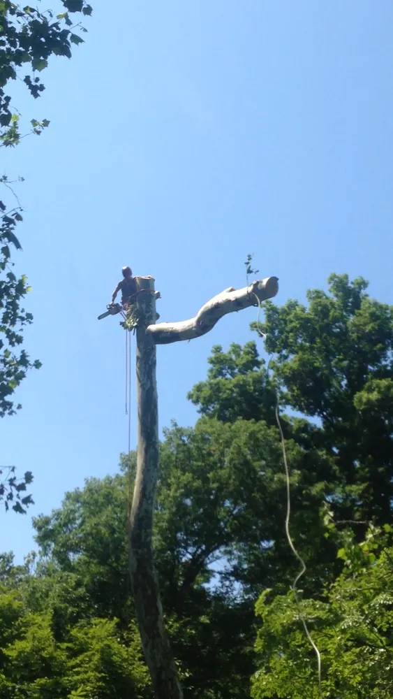 Affordable yard maintenance in Edgewater, MD by Recinos Landscaping and Tree Services