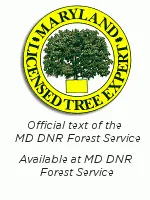 Affordable landscape design in Edgewater, MD - Recinos Landscaping and Tree Services