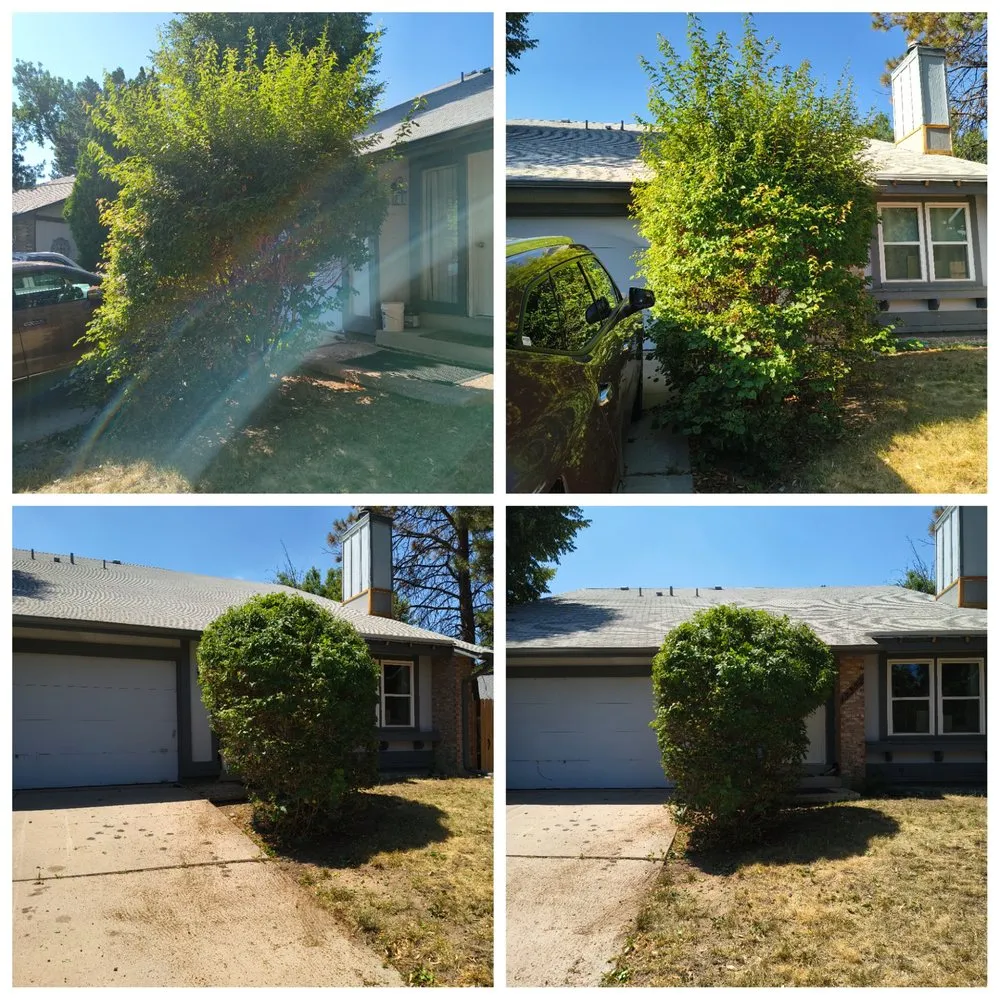 Top-rated residential landscaping near you across Aurora, CO - Reclaim Property Services