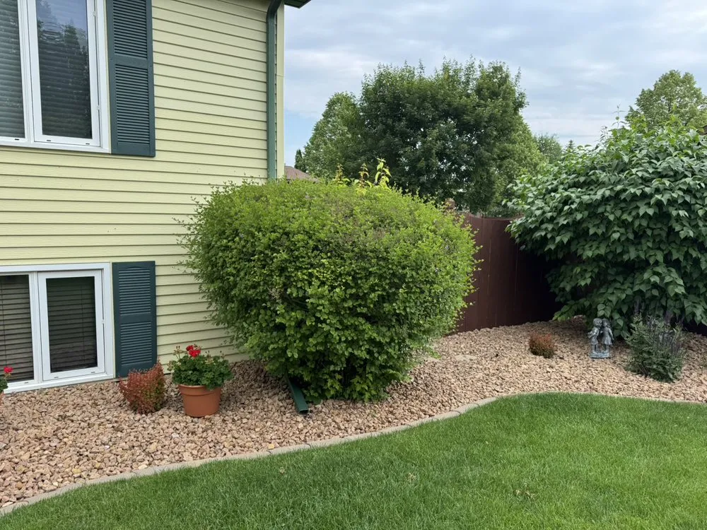 Expert yard cleanup service in Grand Forks, ND by Reco lawncare