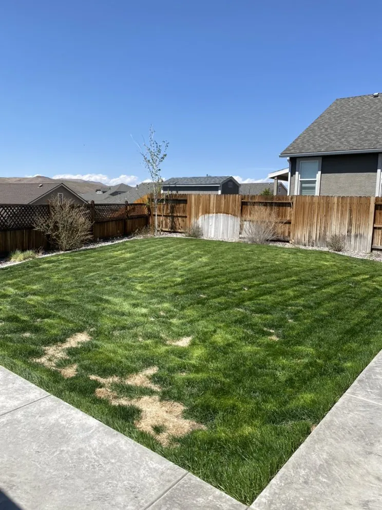 Top-rated landscape installation for outdoor upgrades in Reno, NV by Recon Powerscaping