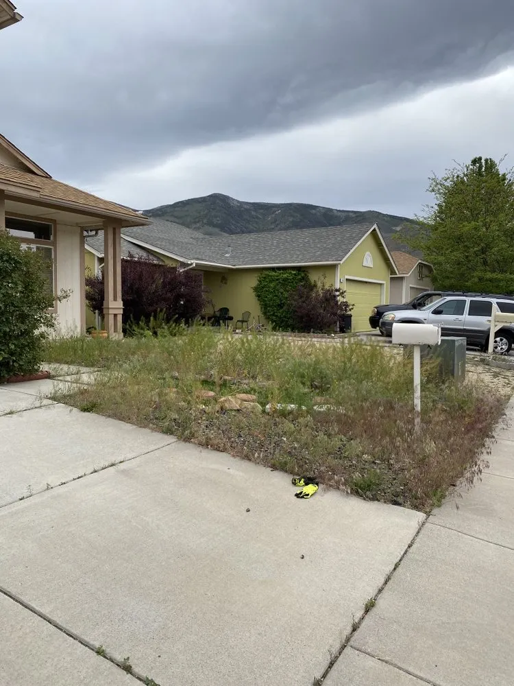 Trusted landscaping services experts serving Reno, NV - Recon Powerscaping