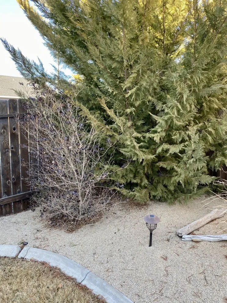Top-rated residential landscaping experts serving Reno, NV - Recon Powerscaping